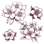 fleurs de cerisier art japonais